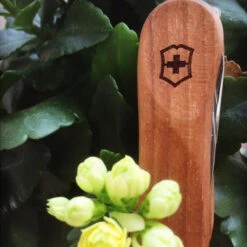 Victorinox Nail Clip 580 - Walnut -Outdoor Gear 0.6461.63 5 600x600 5830c94e 67cf 474d b2ba 9efa7ef6d0f0