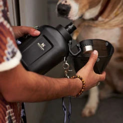 Stanley Classic Steel Canteen 1.1QT 28 Stanley Classic Steel Canteen 1.1QT -Outdoor Gear 19 d8bd36c6 8d86 40ed 9d4c e45b796146cf