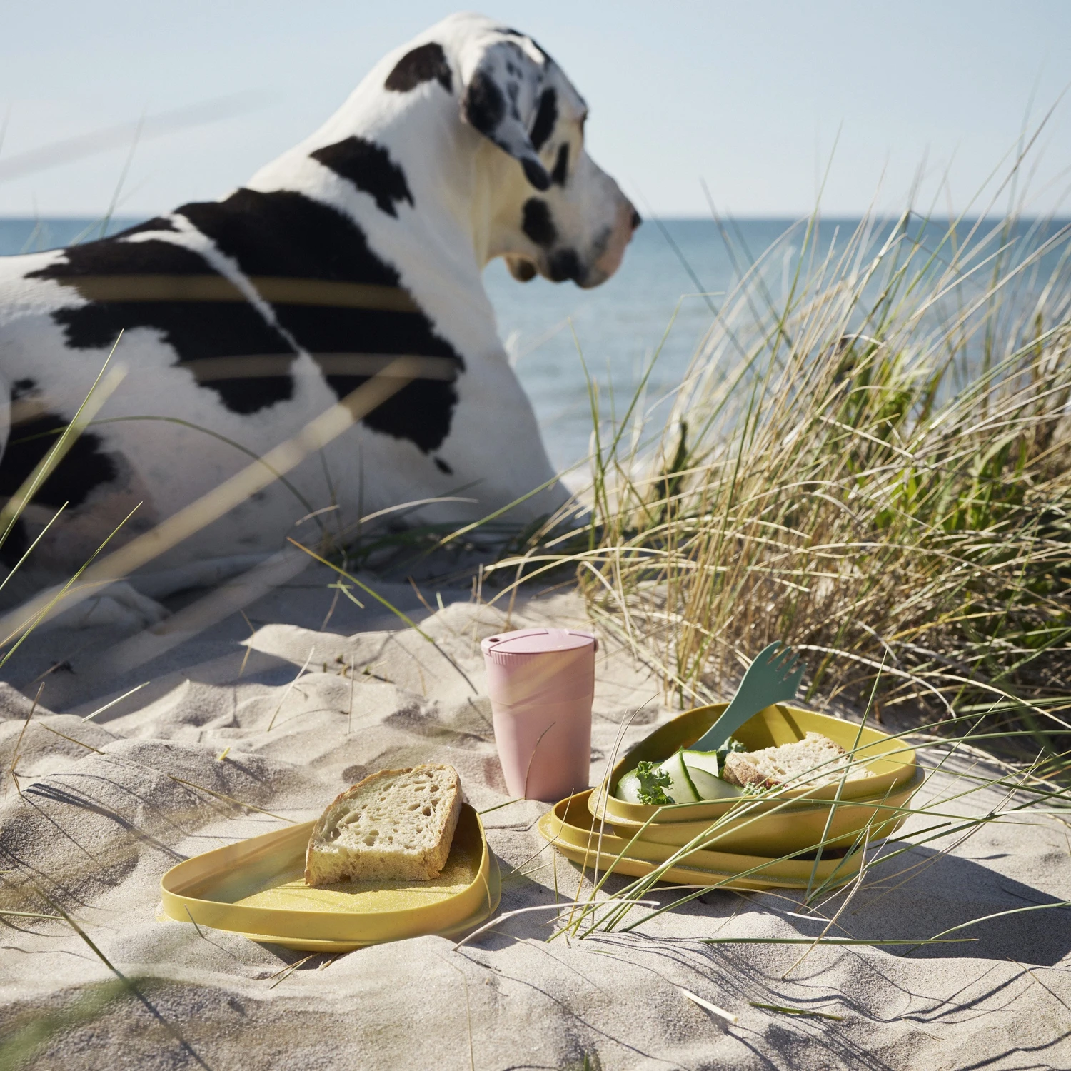 Light My Fire LunchKit BIO - Dustypink 3 Light My Fire LunchKit BIO - Dustypink - Image 3