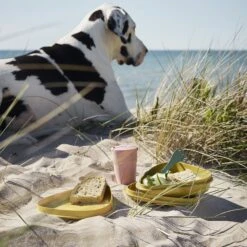 Light My Fire LunchKit BIO - Hazyblue -Outdoor Gear 2f9ba20e0235df98918201b6cf544baa 7e3c7ca0 04e5 436a b51a f73a5b22605c