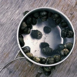 Snow Peak Titanium Personal Cookerset -Outdoor Gear 5 f4a24d2b 74c1 4d6c b87f 1a2061f2d3b5