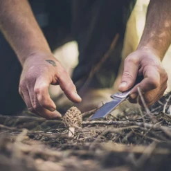 Gerber Asada Folder -Outdoor Gear 64