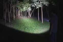 Fenix LD12 2017 Edition LED Flashlight 320 Lumens -Outdoor Gear Fenix LD12 Flashlight light beam