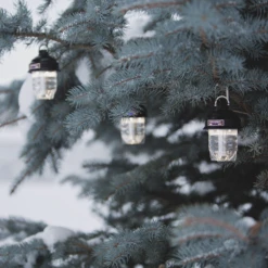 Barebones Beacon Kraft Packaging - Antique Bronze -Outdoor Gear LIV 297 4 d3d79df8 d6ed 450e bb30 f06ba50f265c