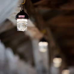 Barebones Beacon Kraft Packaging - Antique Bronze -Outdoor Gear LIV 297 5 b108275a 0686 4a3a 84f6 cca8159ad8ee