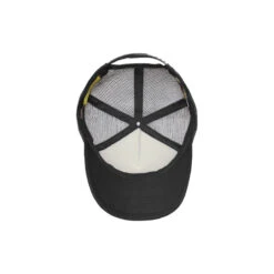 Sunday Afternoon Artist Series Trucker Cap - Alpine Reflection -Outdoor Gear Northern Lights 3 1