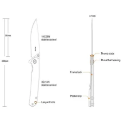 Ruike P801-SB Folding Knife -Outdoor Gear P801 SB 5
